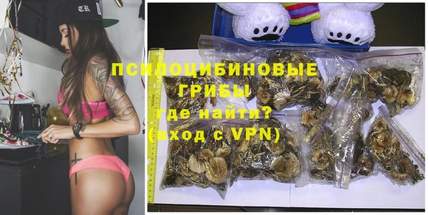 дживик Аркадак