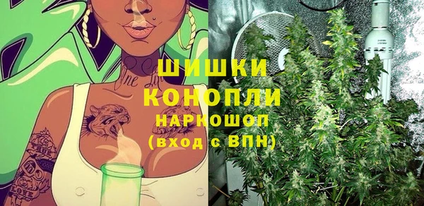 дживик Аркадак