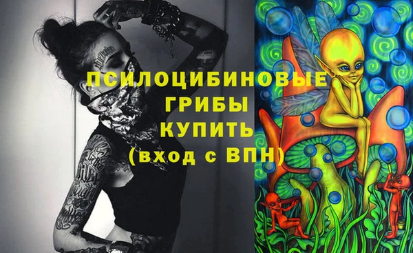 дживик Аркадак