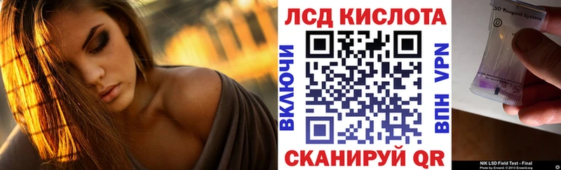дарнет шоп  Пучеж  Марки N-bome 1,8мг 