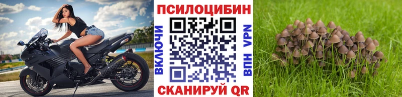 Галлюциногенные грибы Cubensis Пучеж