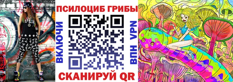 магазин  наркотиков  Пучеж  Псилоцибиновые грибы MAGIC MUSHROOMS 