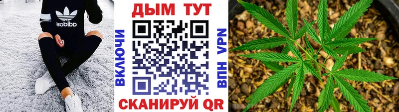 Канабис гибрид  MEGA как зайти  Пучеж 